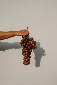 Kaboompics - Hand Holding Red Grapes against Neutral Wall