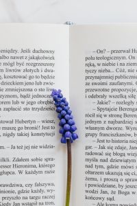 Kaboompics - Close-Up Muscari on an Open Book for Minimal Spring Reading Background