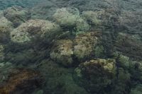 Kaboompics - Rocky Seawater Texture with Green Coastal Rocks beneath Ripples