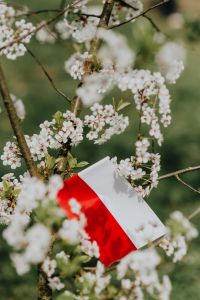 Kaboompics - Flag of Poland - Polska Flaga