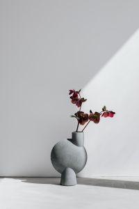 Kaboompics - Burgundy Hellebores in a Gray Vase Against Sunlit Wall