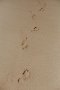 Kaboompics - Footprints on a sandy beach, Portugal