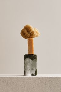 Organic Soap Bars and Natural Sea Sponges for Personal Care