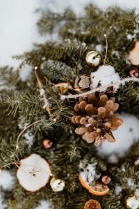 Kaboompics - Outdoor Christmas Wreath Hanging on a Bare Tree