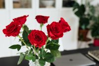 Kaboompics - Close-Up Red Rose Bouquet Beside Laptop on Dark Desk, Workspace Background