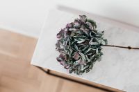Kaboompics - Top-Down Hydrangea Bloom and Stem on Marble Table