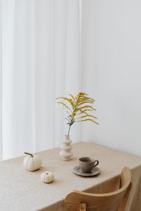 Kaboompics - Cozy Autumn Coffee Table Styling with Mini White Pumpkins, Goldenrod and a Speckled Cup