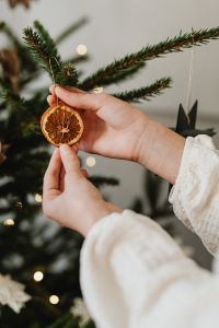 Kaboompics - Hands Holding Dried Orange Slice near Christmas Tree