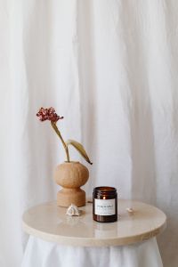 Kaboompics - Amber Candle and Dried Smoke Bush in Minimal Still Life