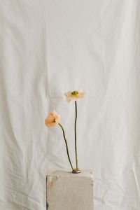 Kaboompics - Delicate Flower Arrangement on a Light Fabric Background