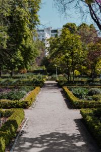 Kaboompics - Real Jardin Botanico, Madrid, Spain