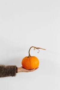Kaboompics - Hand Holding Orange Pumpkin With Copy Space