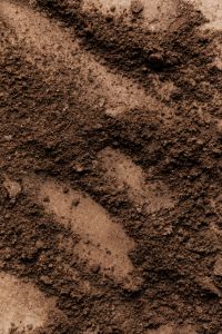 Kaboompics - Brown Powder Makeup Texture Close Up