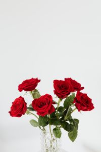 Kaboompics - Red Rose Bouquet Isolated on White Background