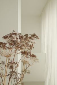 Kaboompics - Dried Flowers in Bright Neutral Room with Sheer Curtains
