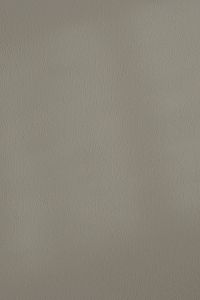 Kaboompics - Light Gray Microcement Texture with Speckled Grain