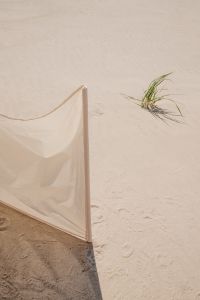 Kaboompics - White Windbreak on the Sand with Dune Grass