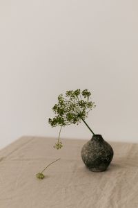 Kaboompics - Dill Flower with a Dark Textured Decorative Object