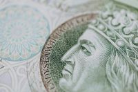 Kaboompics - Macro Portrait Detail on Polish Zloty Banknote with Pale Green Security Pattern