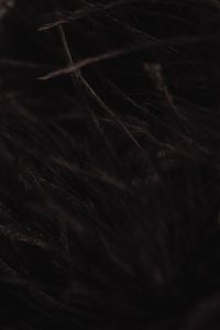 Kaboompics - Black Textile With Soft Fuzzy Texture