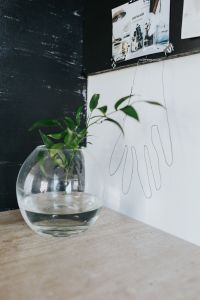 Kaboompics - Green Plant in a Round Glass Vase Beside a Wire Hand Wall Sculpture, Minimal Home Decor