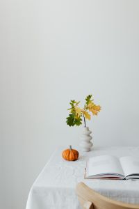 Kaboompics - Open Book Vase and Orange Pumpkin in a Minimal Interior
