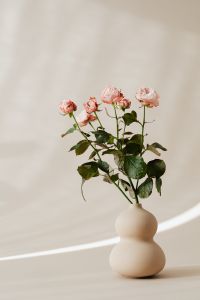 Kaboompics - Blush Rose Bouquet in Rounded Ceramic Vase with Sunlit Shadows