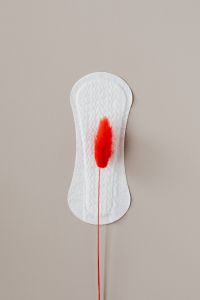 Kaboompics - Sanitary Pad with Red Feather, Minimal Period Health Concept