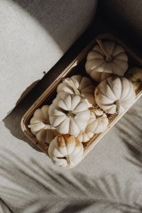Kaboompics - White Mini Pumpkins in Tray with Palm Leaf Shadows