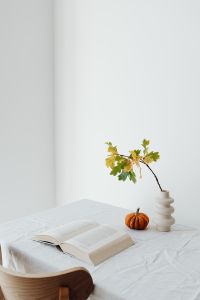 Kaboompics - Open Book Oak Branch Vase and Pumpkin on a White Table