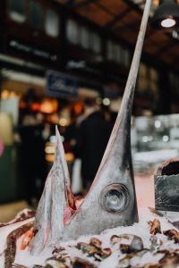 Kaboompics - Fresh Fish on Ice at Madrid Food Market