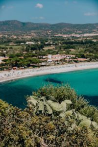 Kaboompics - Soft-Focus Beach and Village with Prickly Pear Foreground