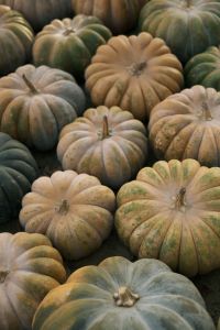 Kaboompics - Pale Green and Tan Heirloom Pumpkins