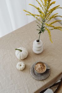 Kaboompics - Overhead Cappuccino and Two White Pumpkins on Linen with Goldenrod Vase Detail