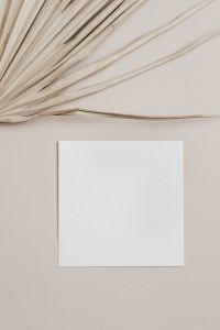 Kaboompics - Blank White Card with Dried Palm Leaf and Beige Copy Space