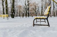 Kaboompics - Snowy City Park Path Framed by Yellow Benches and Bare Trees