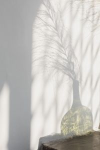 Kaboompics - Translucent Window Shadows Across a Green Bottle Vase for Soft Editorial Backgrounds