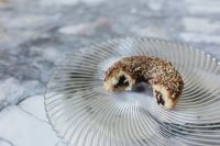 Kaboompics - Chocolate Sprinkle Donut On Patterned Glass Plate