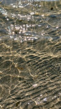 Kaboompics - Sunlight Reflections On Clear Shallow Sea Water