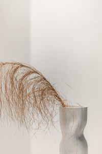 Kaboompics - Cloud Dancer White Vase with Pampas Grass