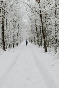 Kaboompics - Snow Covered Forest Trail Framed By Frosted Trees