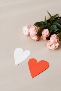 Kaboompics - Vertical Still Life of Blush Roses and Paper Hearts on Beige