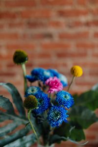 Kaboompics - Colorful Floral Bouquet with Blue Chrysanthemums, Pink Carnation and Craspedia