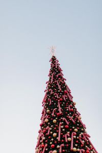 Christmas at Manufaktura in Łódź – Holiday Market, Trees and Decorations