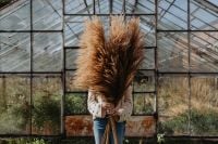 Kaboompics - Woman Posing with Pampas Grass Covering Her Face