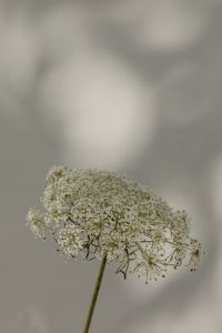 Kaboompics - Bright and warm free backgrounds or wallpapers