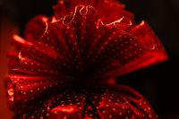 Kaboompics - Close-up of the red tulle bow
