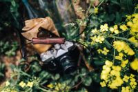 Kaboompics - Woman with vintage camera in the field of blooming rapes