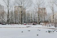 Kaboompics - Snow-Covered Park Pond with Ducks and Apartment Buildings in Winter
