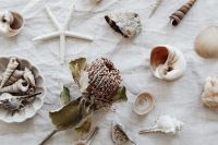 Kaboompics - Dried Protea with Seashells and Starfish, Neutral Coastal Flat Lay on Linen